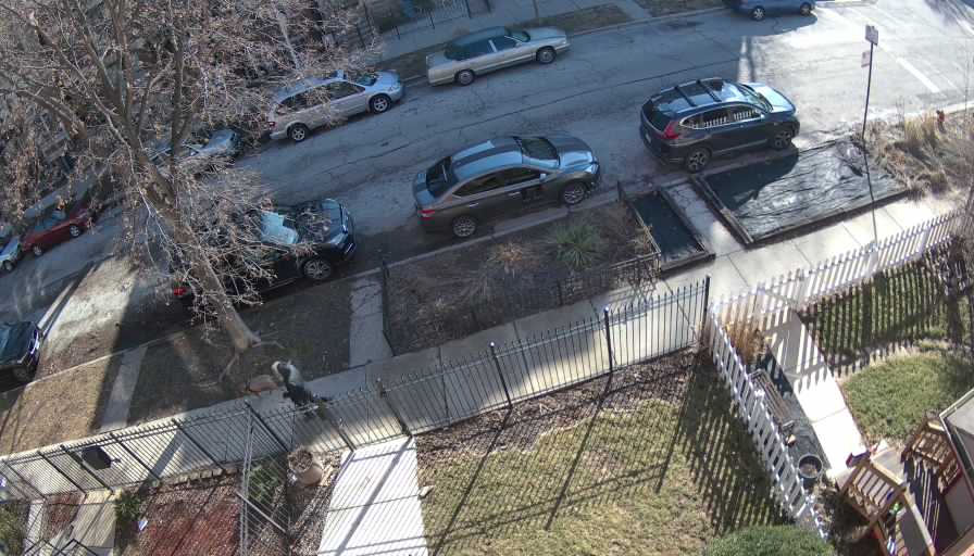 Reolink Camera One_00_Reolink Home Hub One_20260312095727.jpg